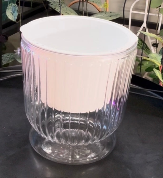 Large clear self watering pot