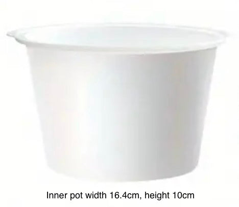 Large clear self watering pot