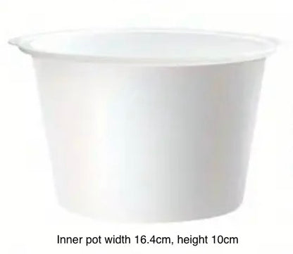 Large clear self watering pot