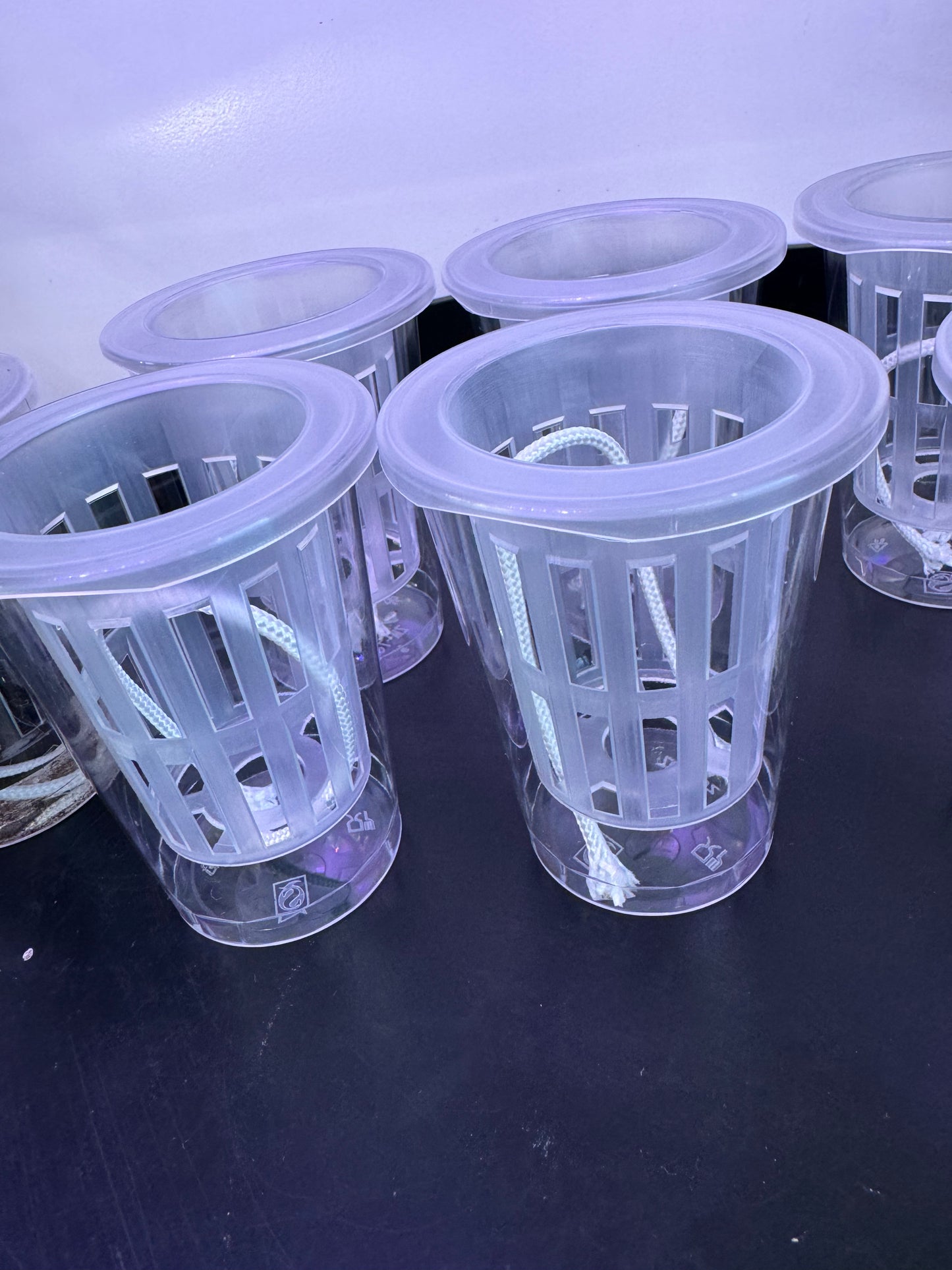 6pack clear double pot semi hydroponic net pots