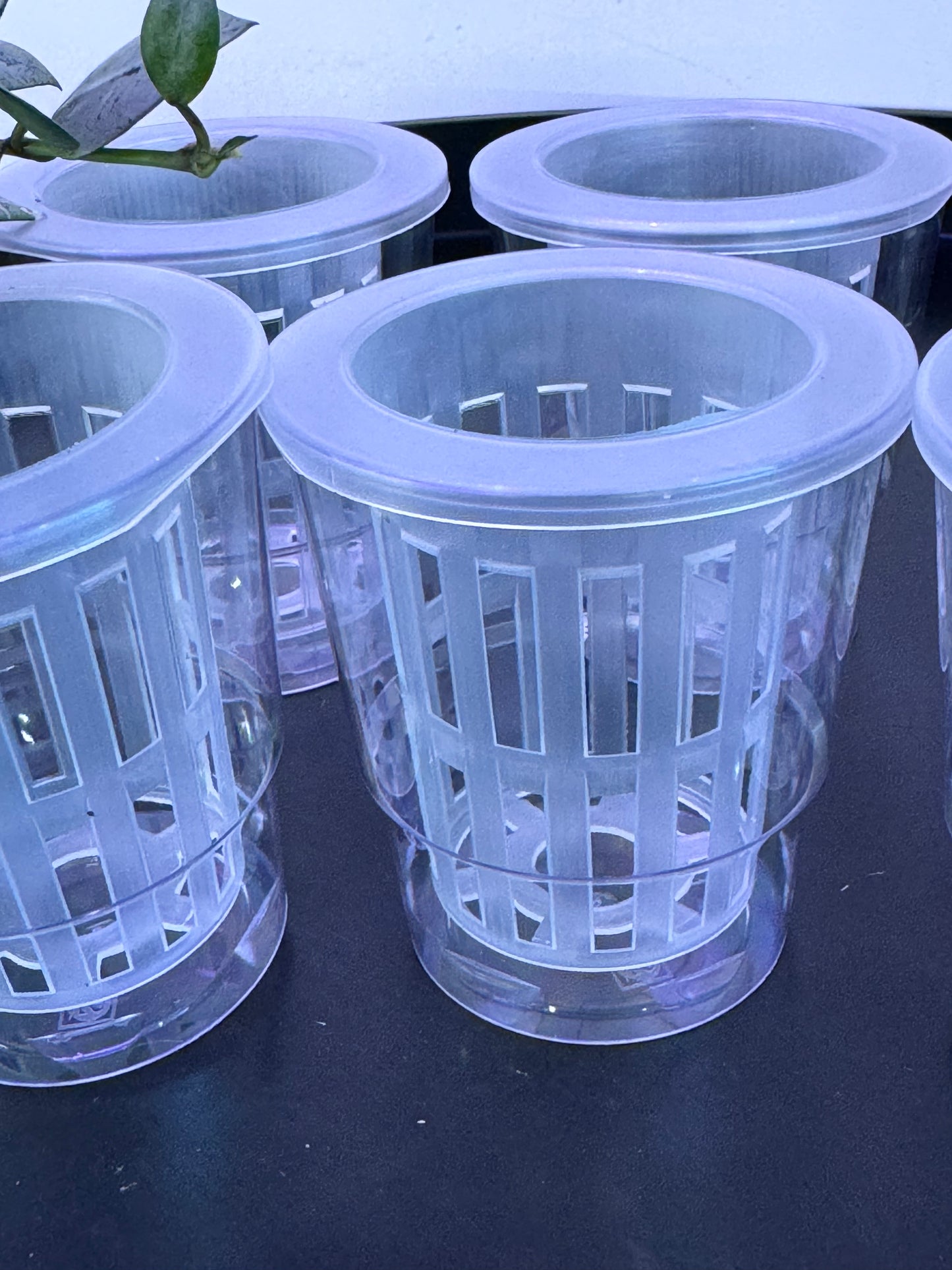 6pack clear double pot semi hydroponic net pots