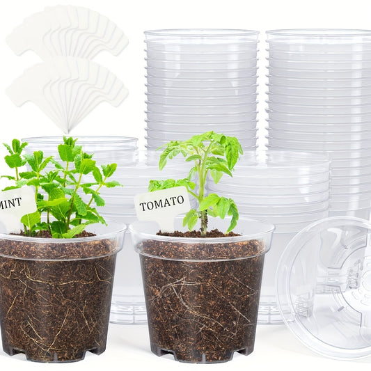 6pcs Clear Nursery Seedling Plant Pots