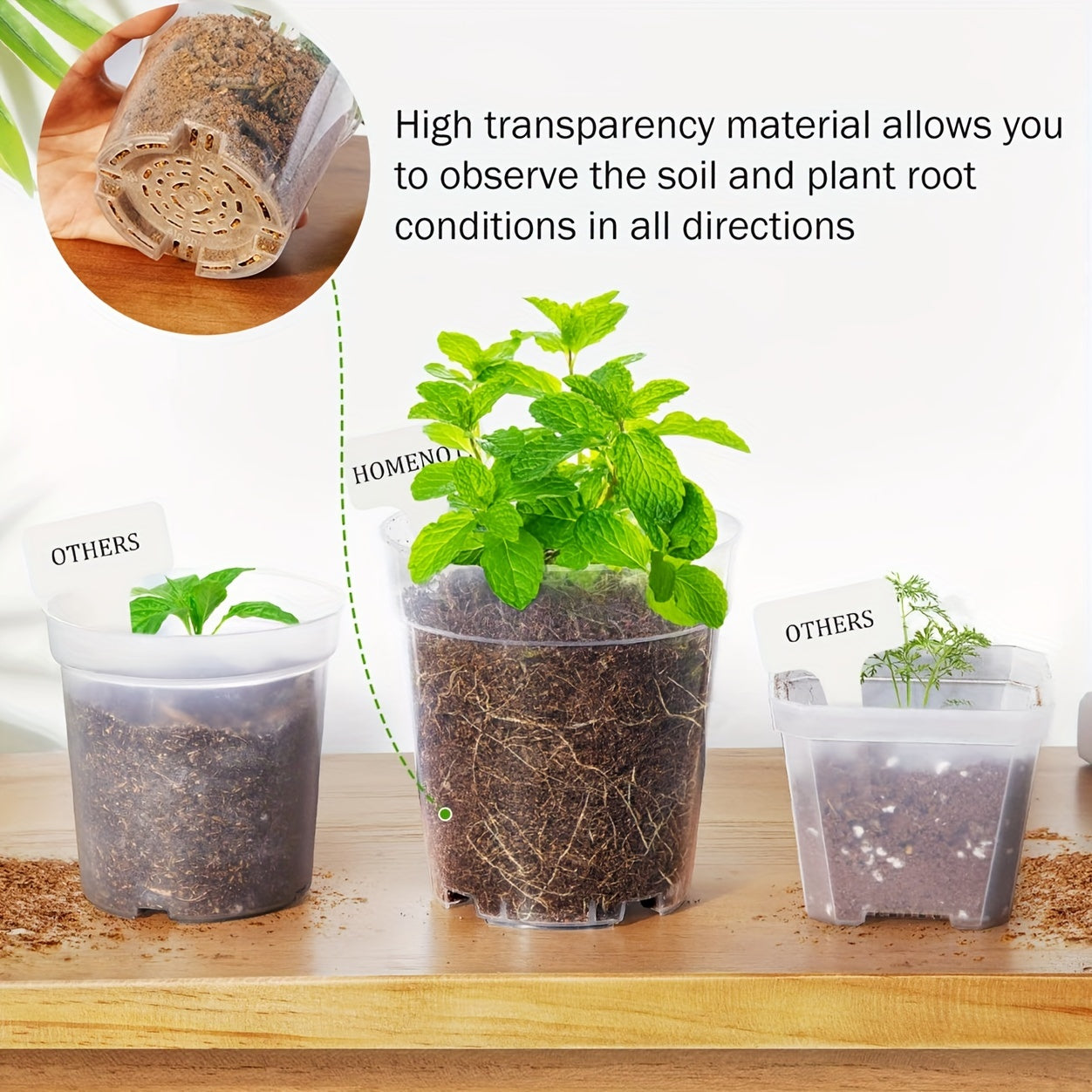 6pcs Clear Nursery Seedling Plant Pots