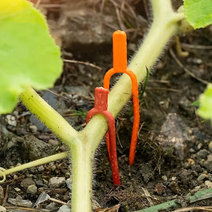 Planting fork securing clips x 50 pcs